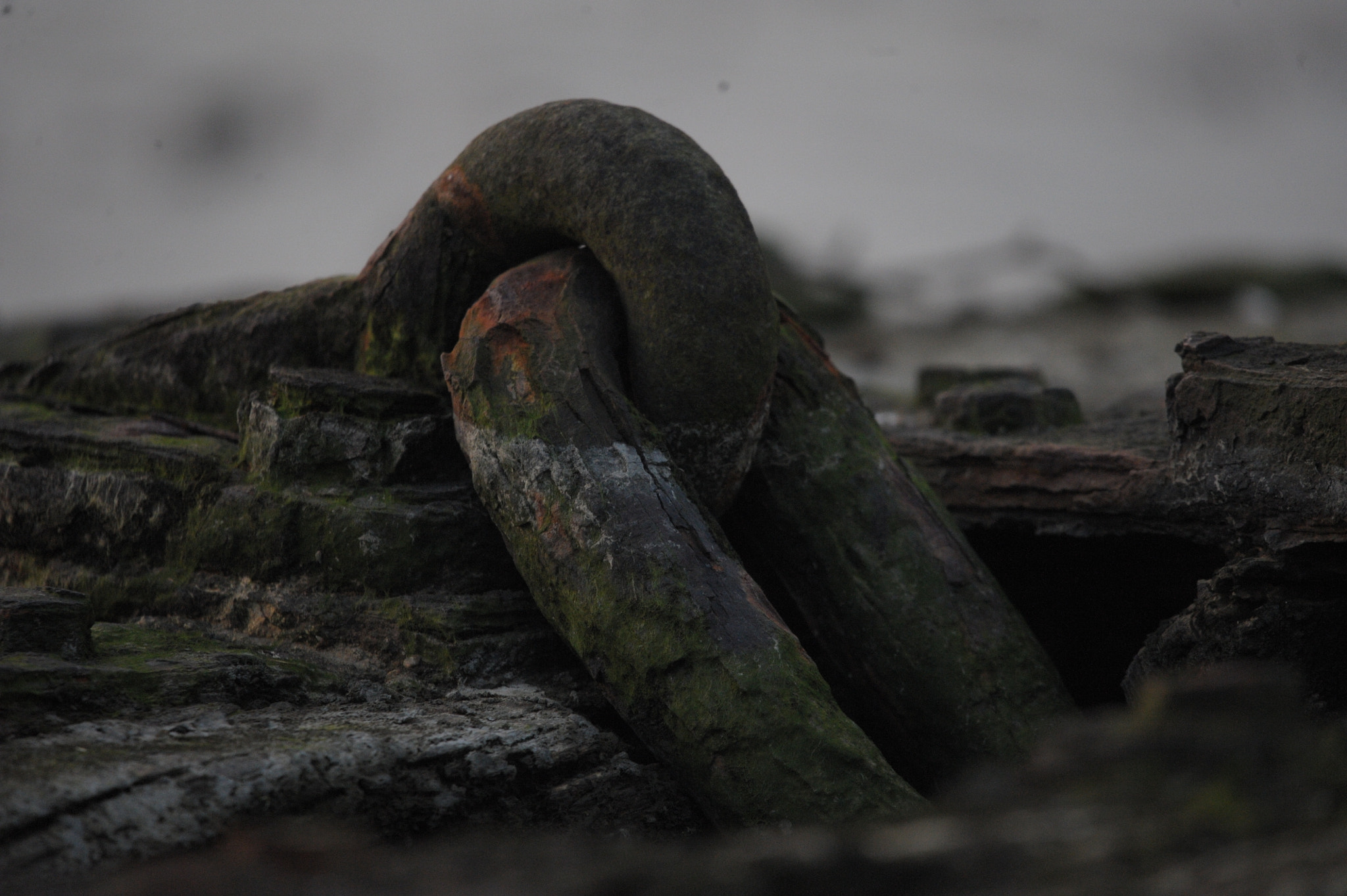 Sigma 150-600mm F5-6.3 DG OS HSM | C sample photo. River rust 1 photography
