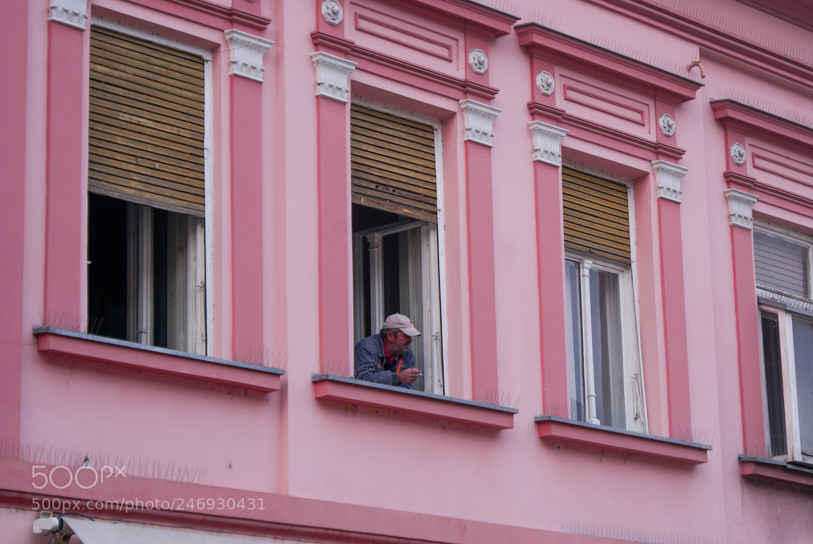 Sony Alpha DSLR-A300 sample photo. 39656821354.jpg photography