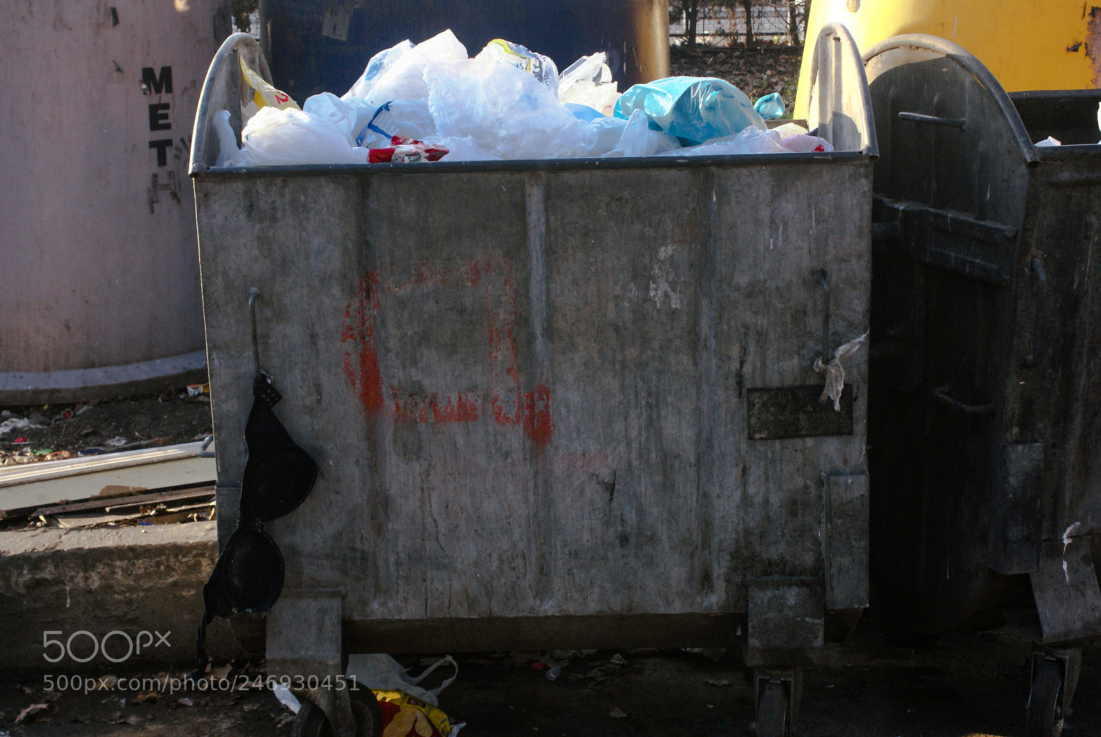Sony Alpha DSLR-A300 sample photo. 39460050095.jpg photography