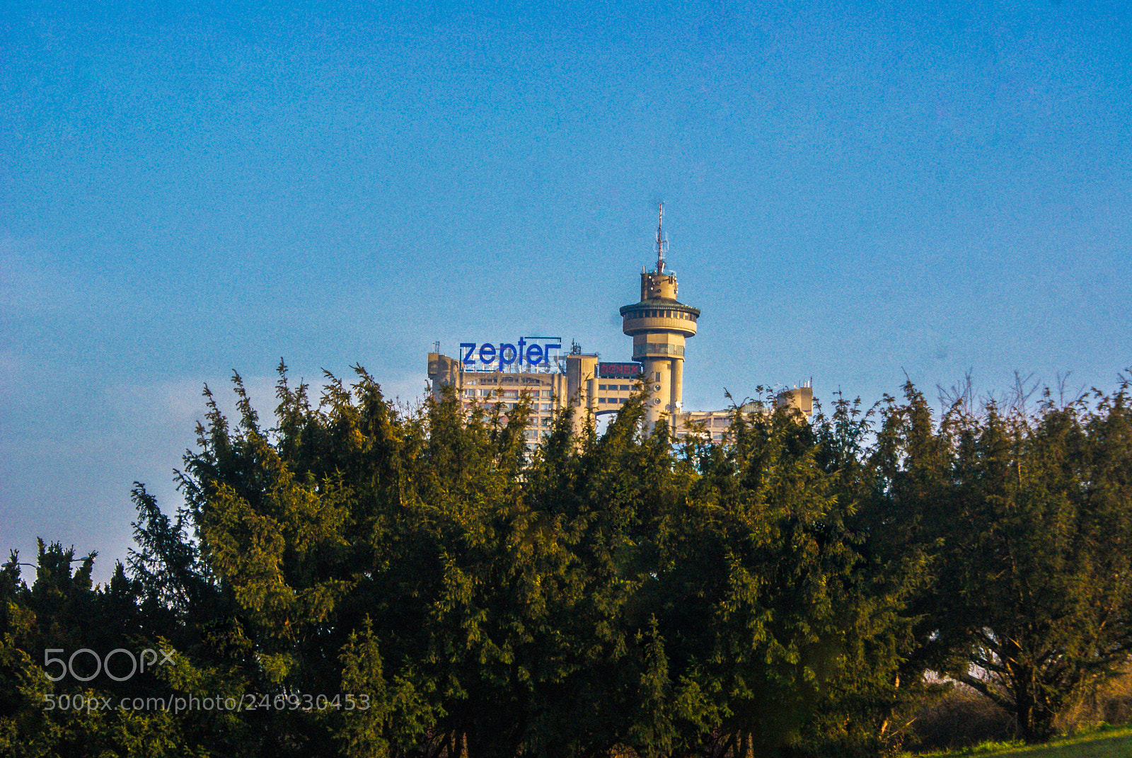 Sony Alpha DSLR-A300 sample photo. 39634887104.jpg photography