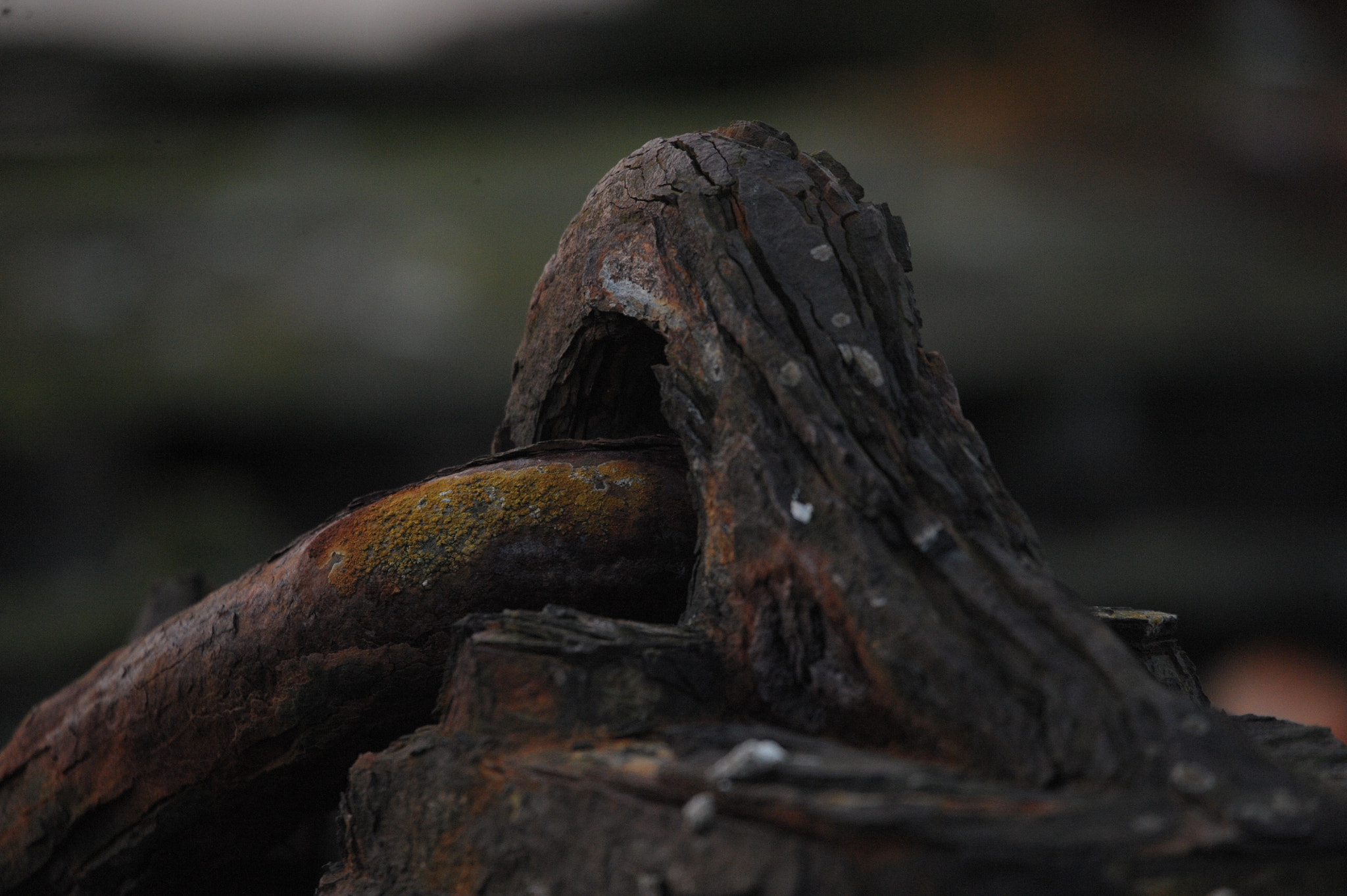 Sigma 150-600mm F5-6.3 DG OS HSM | C sample photo. River rust 3 photography