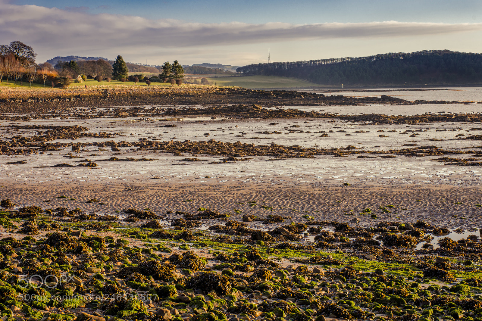 Nikon D7200 sample photo. Dalgety bay photography