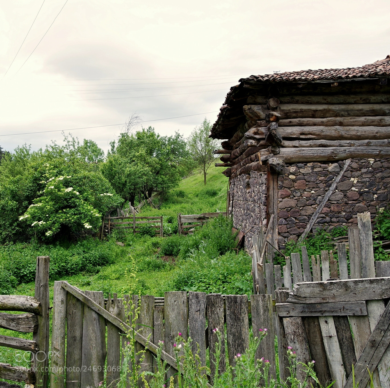 Pentax K-S2 sample photo. Untitled photography