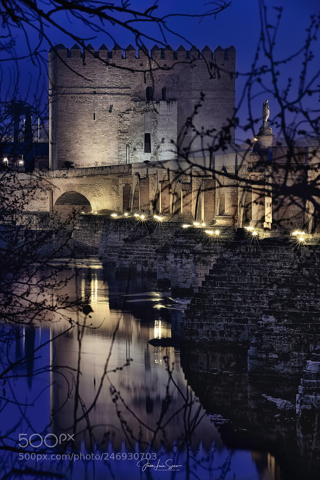 Nikon D810 sample photo. Un silencio perfecto... photography