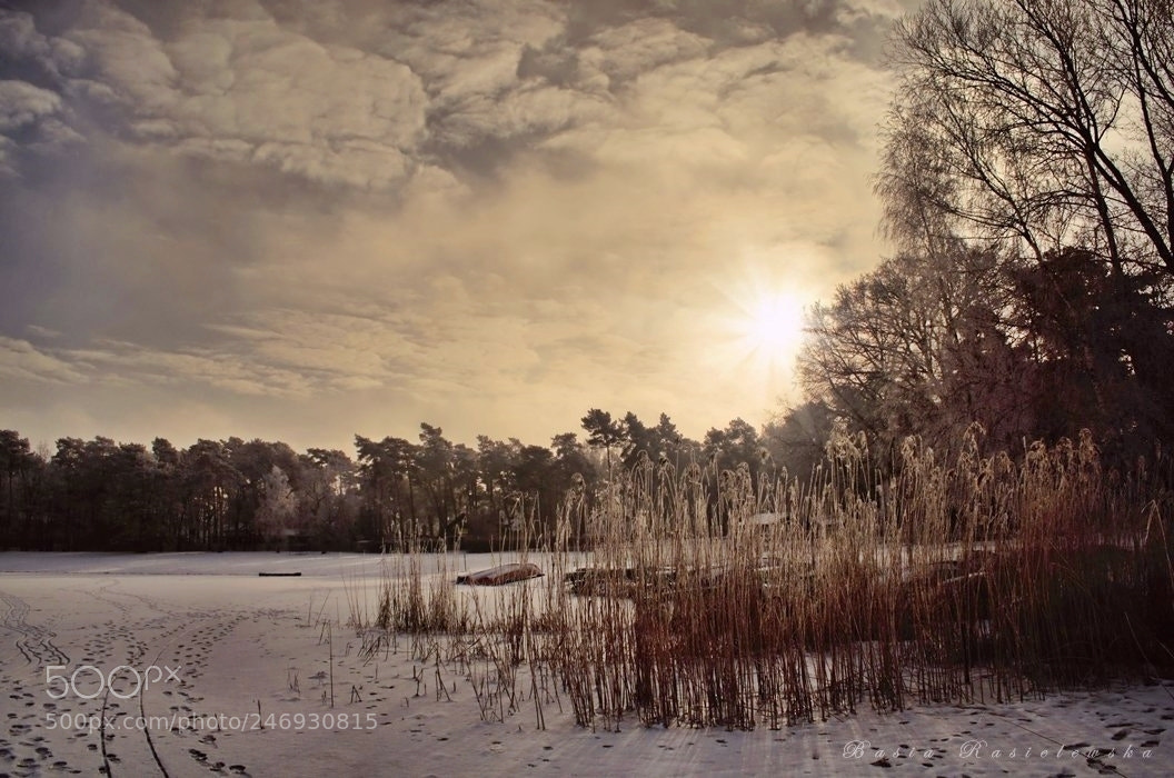 Nikon D5100 sample photo. Winter lake... photography