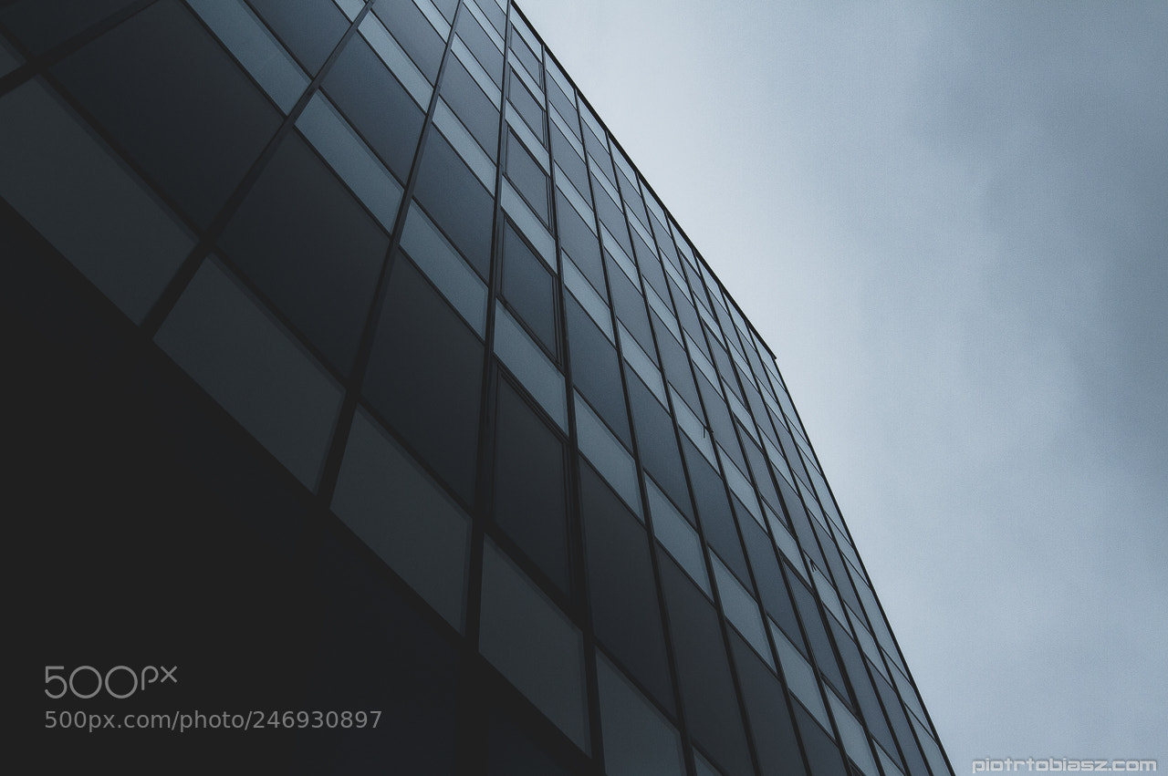 Canon EOS 7D sample photo. Windows. photography