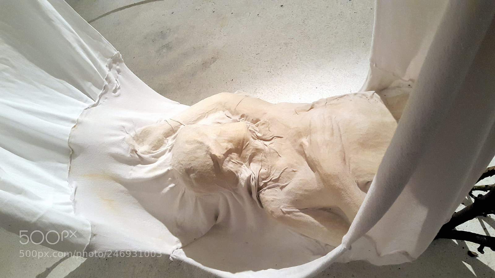 Samsung Galaxy S6 sample photo. La belle aux bois photography