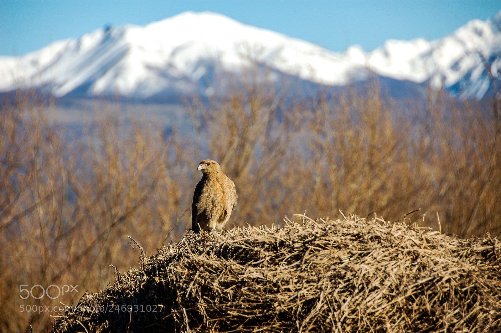 Nikon D50 sample photo. Travelling in chubut... photography