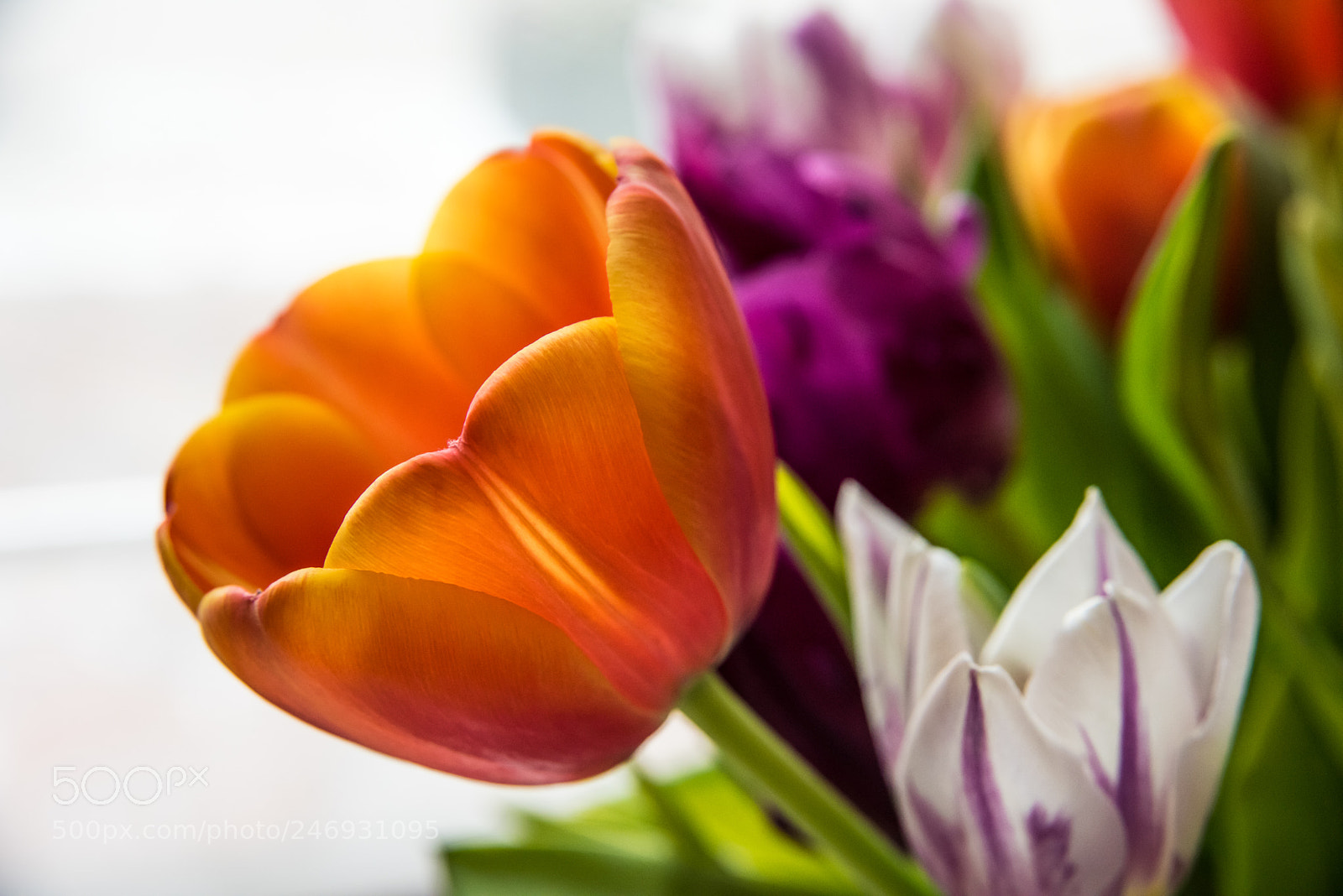 Nikon D810 sample photo. Untitled photography