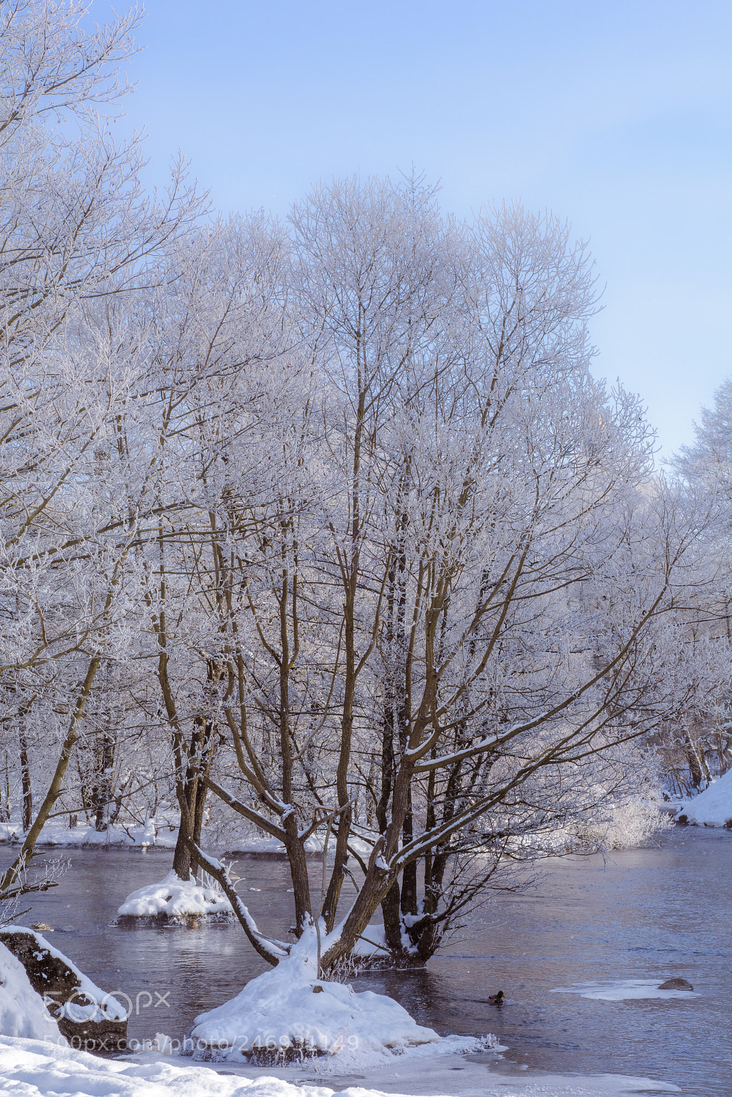 Nikon D7100 sample photo. Winter, small river, islets photography
