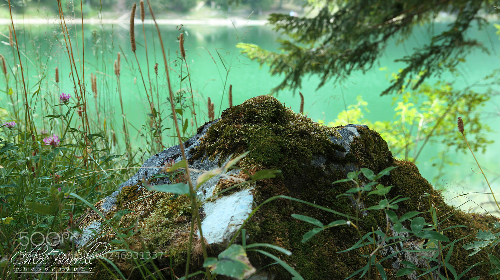 Canon EOS 600D (Rebel EOS T3i / EOS Kiss X5) sample photo. Edit w photography