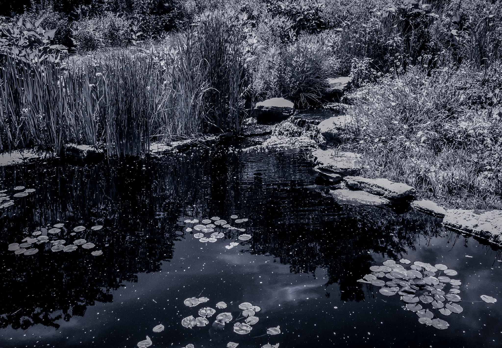 Canon PowerShot SX230 HS sample photo. Little pond photography