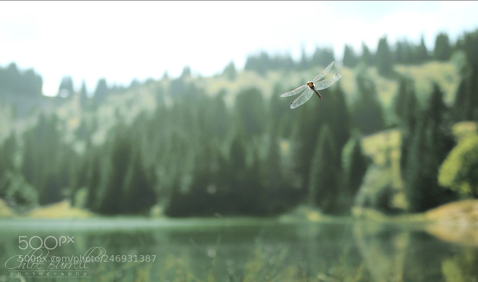 Canon EOS 600D (Rebel EOS T3i / EOS Kiss X5) sample photo. Edit w photography