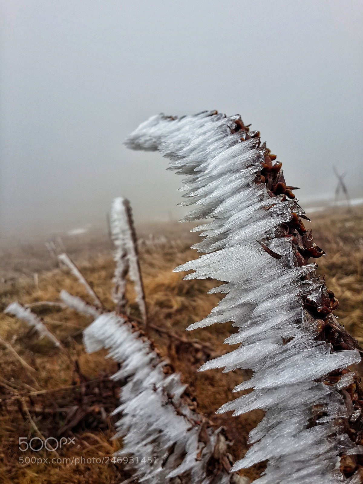 Samsung Galaxy S4 sample photo. Wind photography