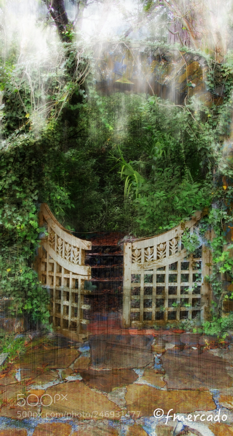 Canon PowerShot G12 sample photo. Gate to paradise photography