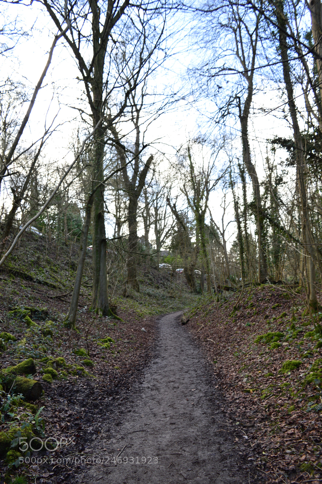 Nikon D3200 sample photo. Untitled photography