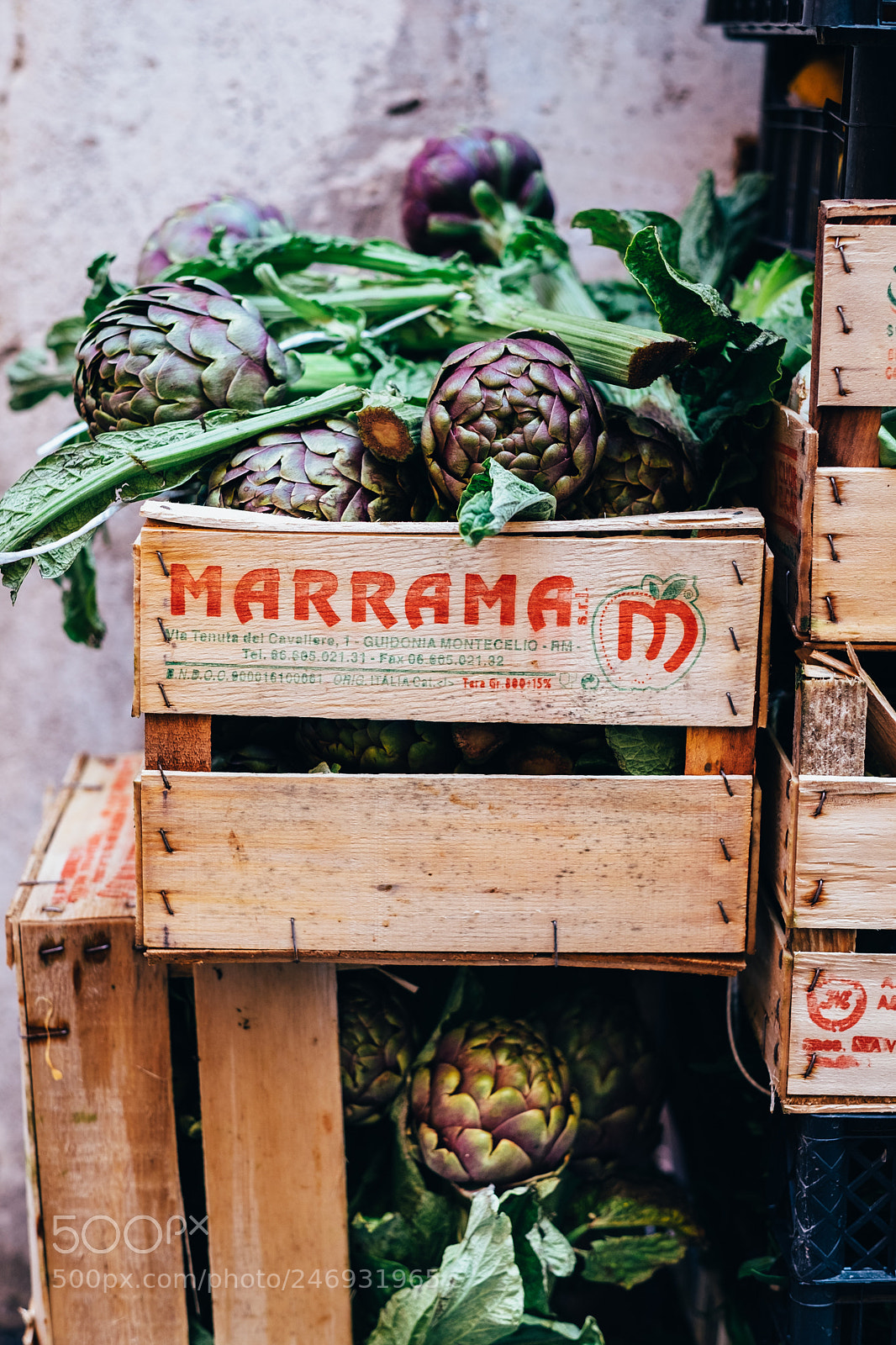 Fujifilm X-T1 sample photo. Artichoke season photography
