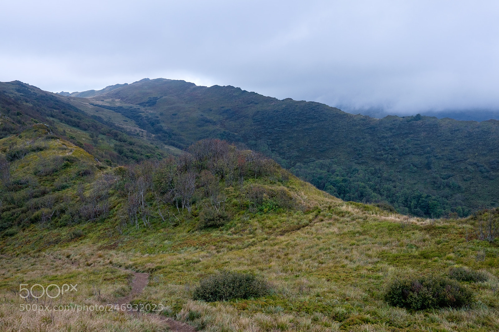 Fujifilm X-E2 sample photo. Bieszczady photography