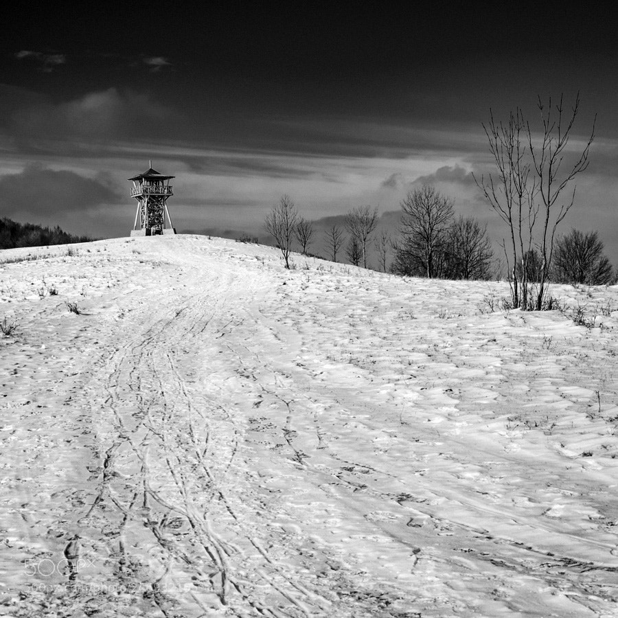 Pentax K-S2 sample photo. Tower photography