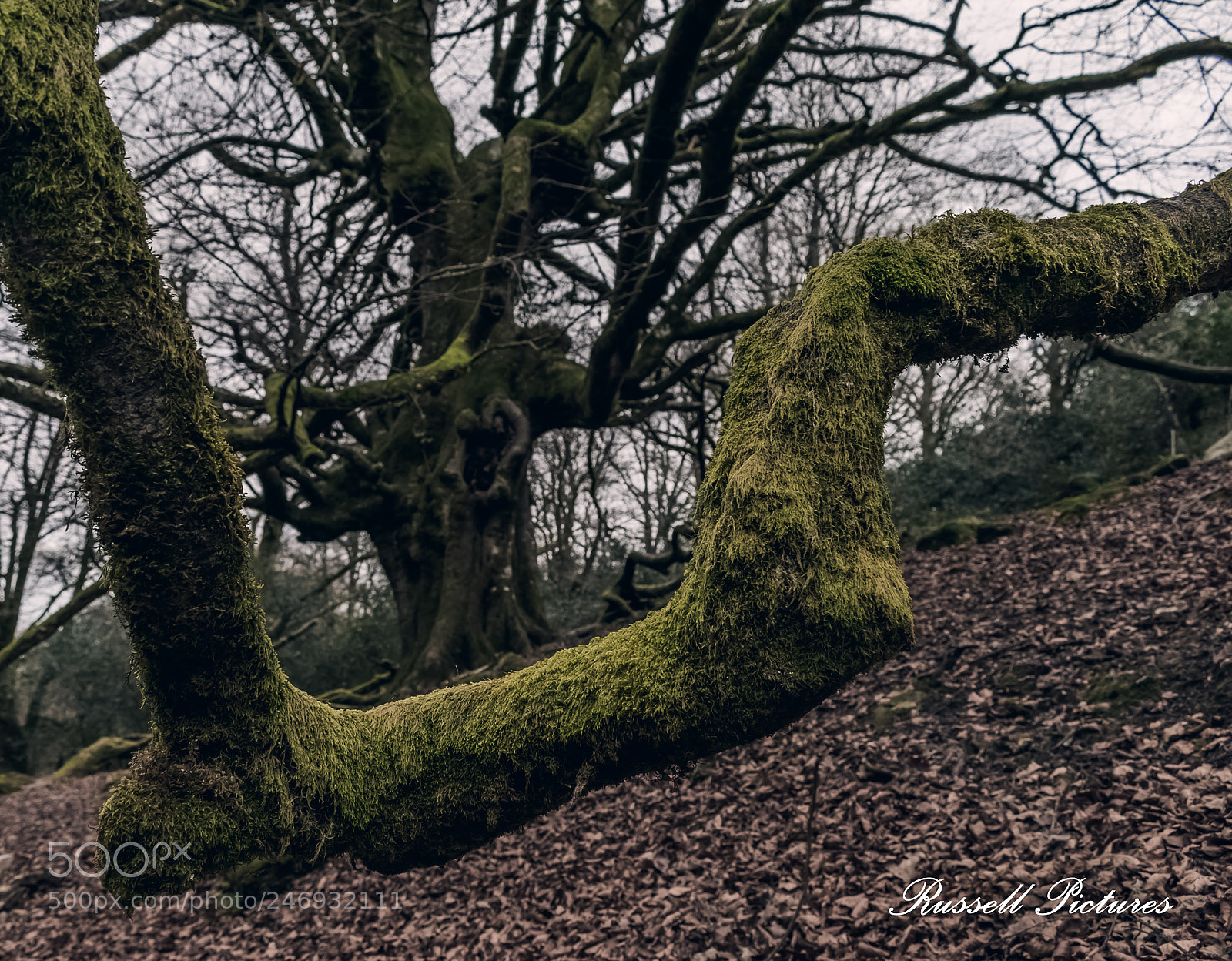Nikon D3400 sample photo. The ancient one. ? photography