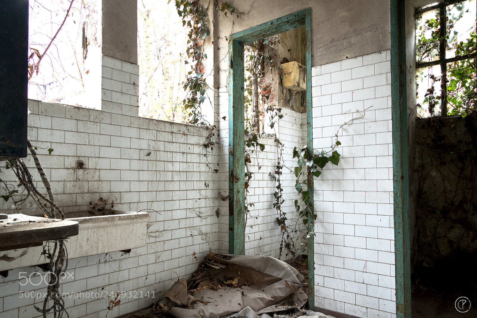 Canon EOS 7D Mark II sample photo. The lost room photography
