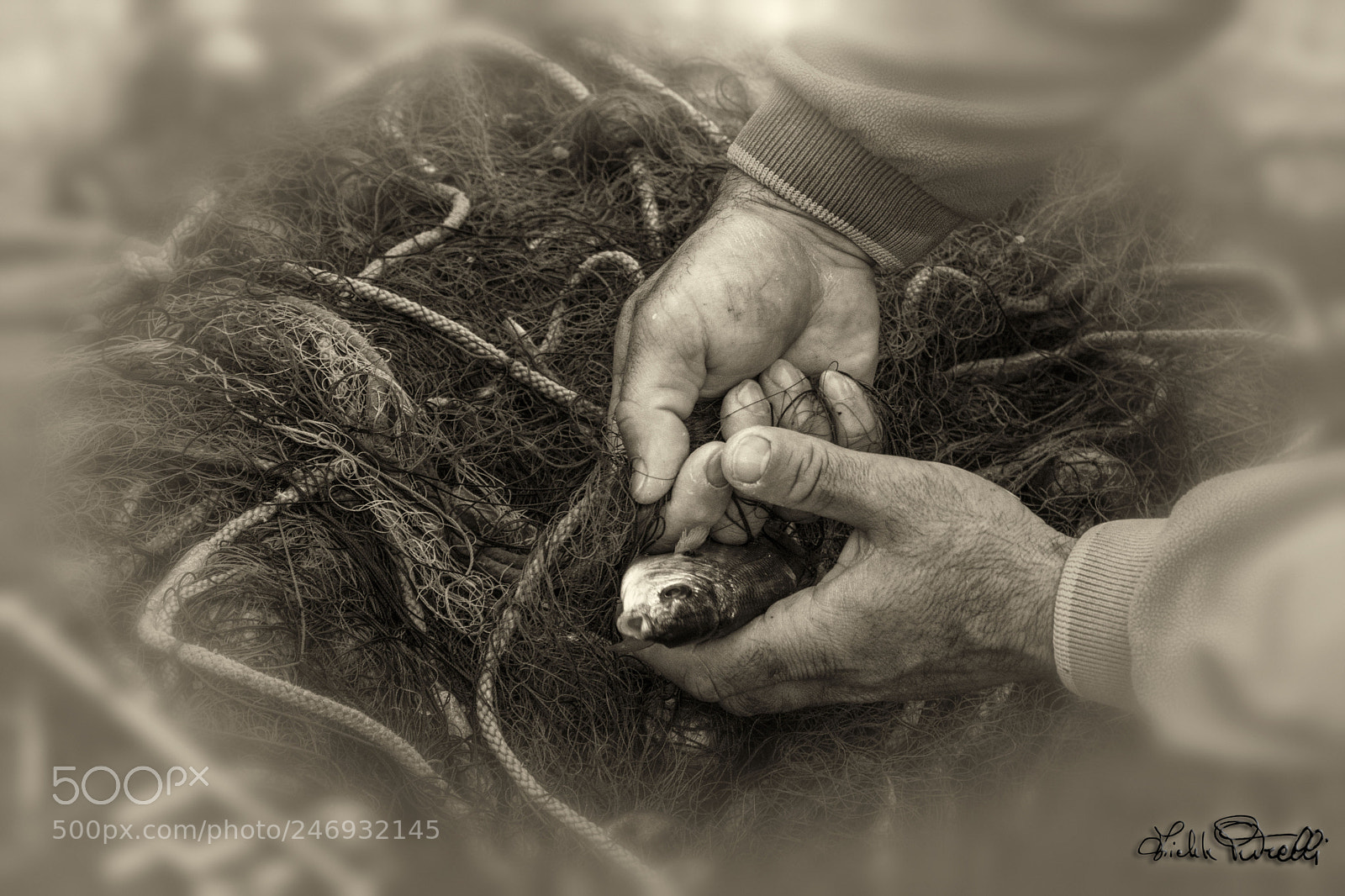 Nikon D7100 sample photo. Sport la pesca photography