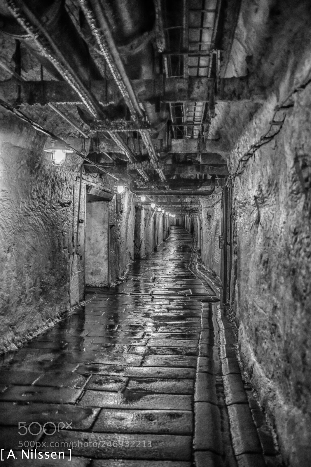 Nikon D7100 sample photo. In the cellar photography