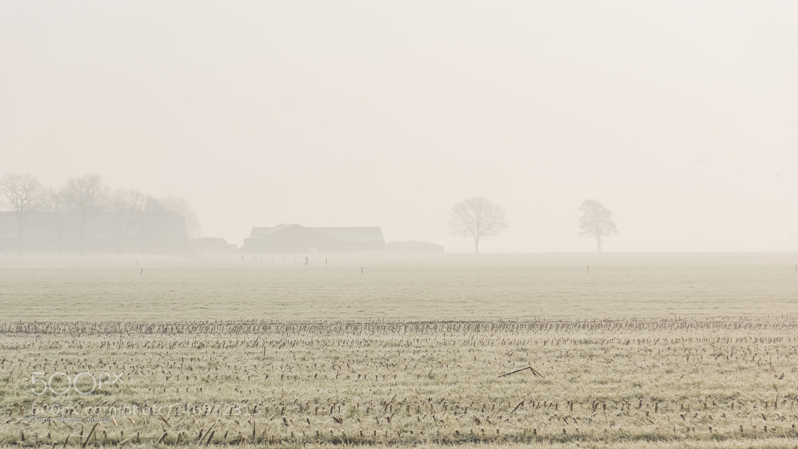 Sony SLT-A77 sample photo. Misty morning photography