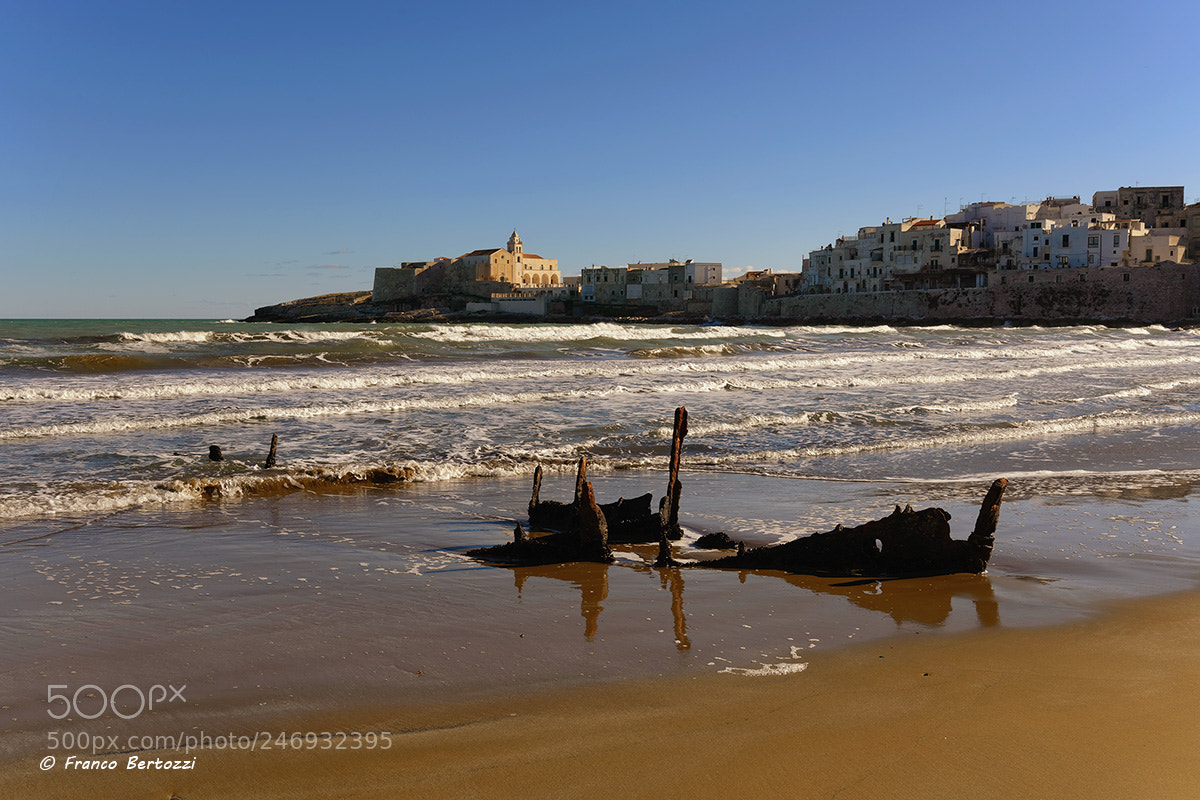 Nikon D610 sample photo. Vieste and the shipwreck photography