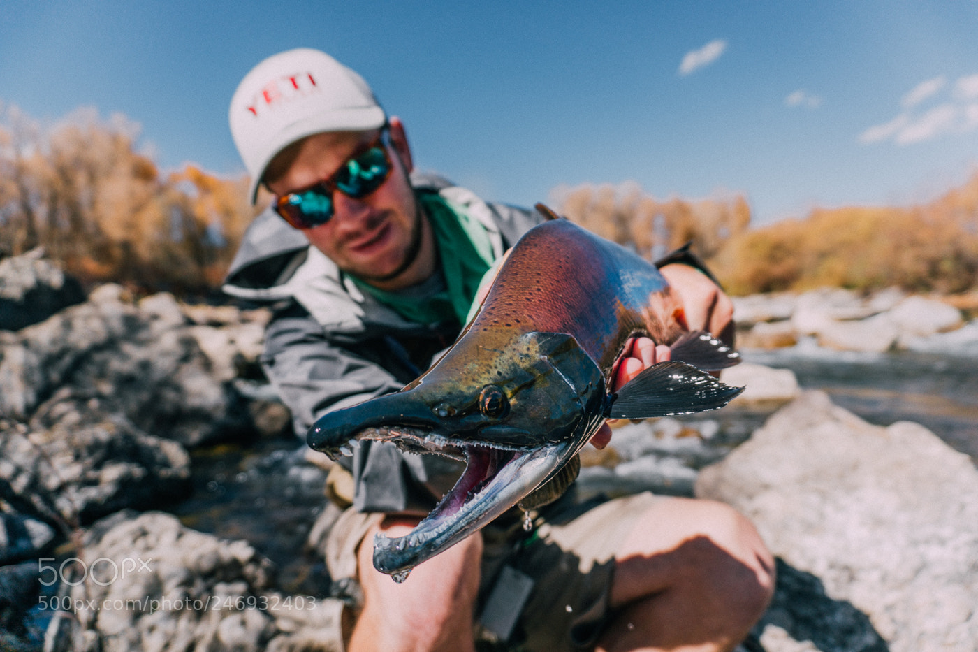 Sony a6300 sample photo. Scary fishy photography