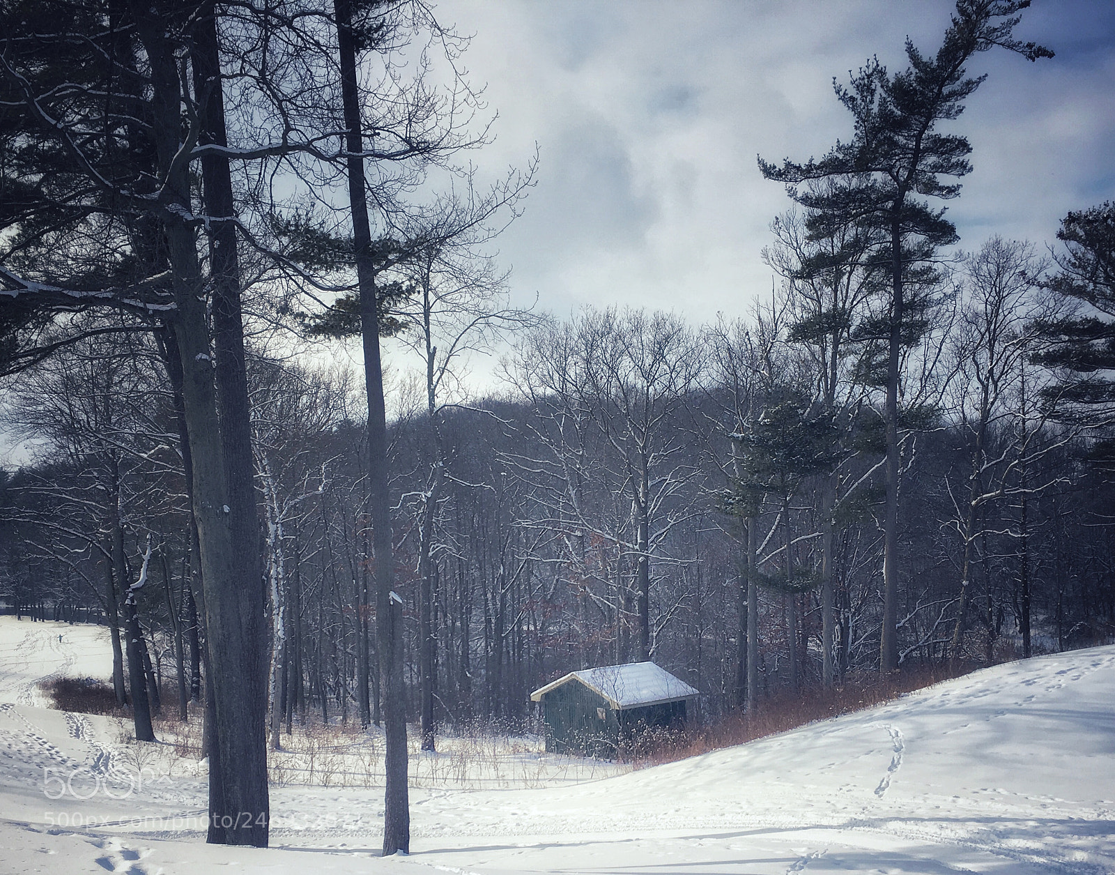 Apple iPhone 6s sample photo. Cold winter days. photography