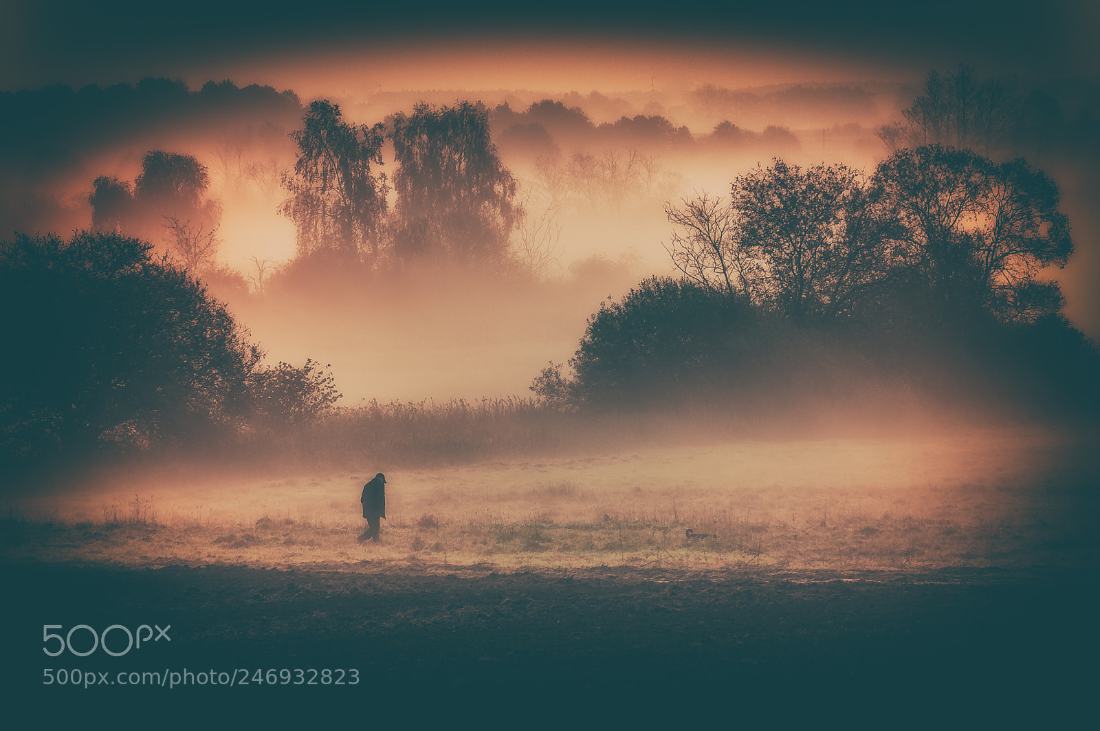 Nikon D300S sample photo. Morning fog photography