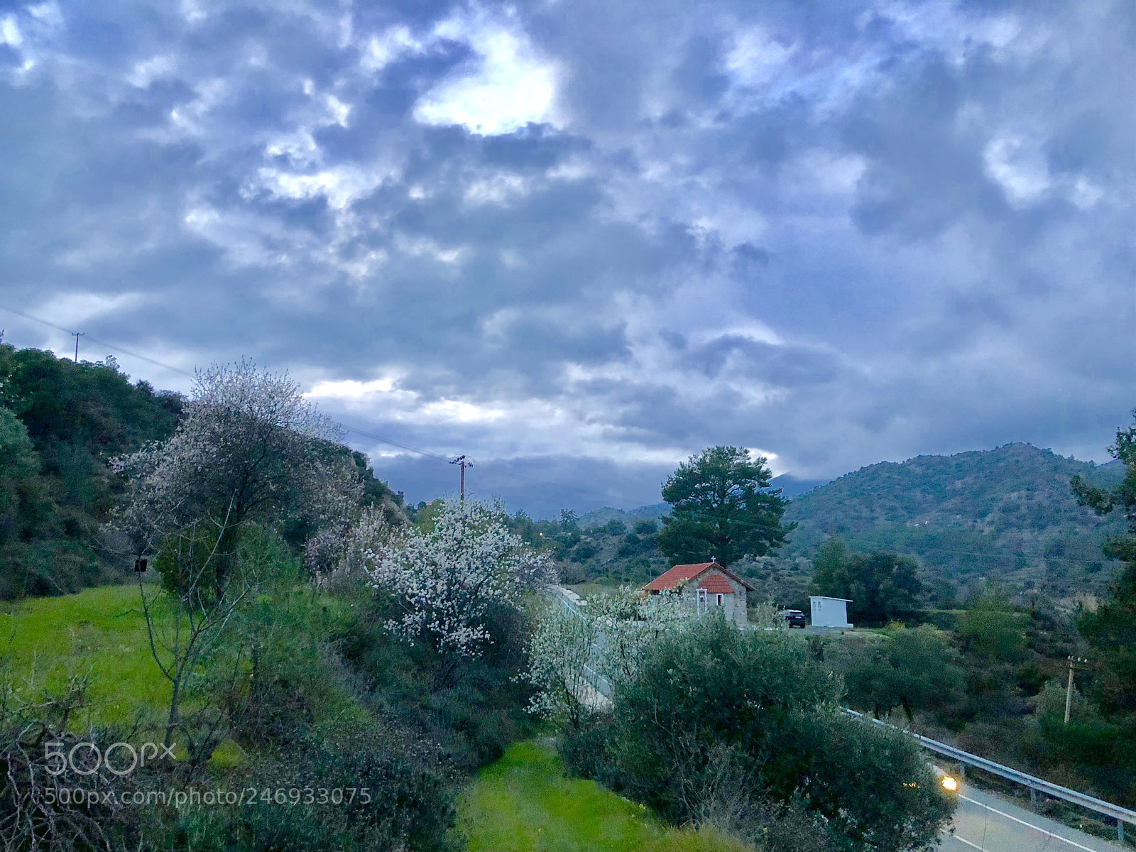 Apple iPhone X sample photo. Untitled photography