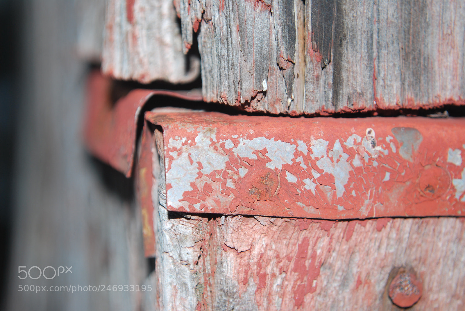 Nikon D60 sample photo. Ecfdaa ce fbc aba photography