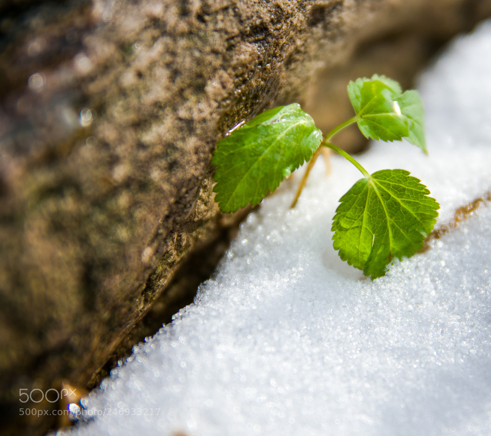 Nikon D3400 sample photo. Ddebdd bb abbdebcaff photography