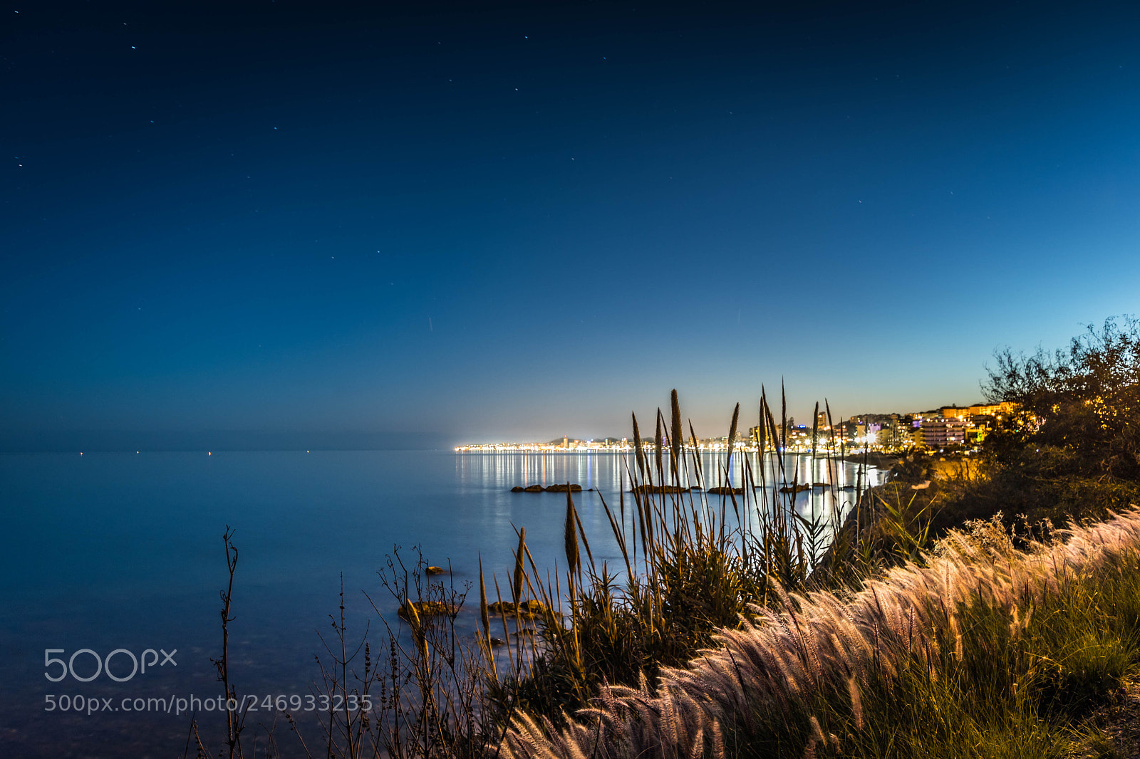 Nikon D500 sample photo. Peacefull night at fuengirola photography