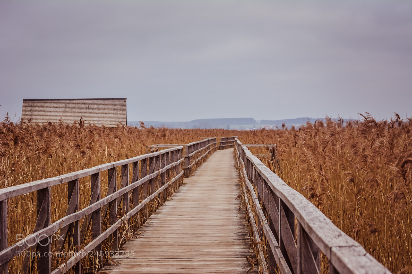 Nikon D5200 sample photo. Federsee lake photography