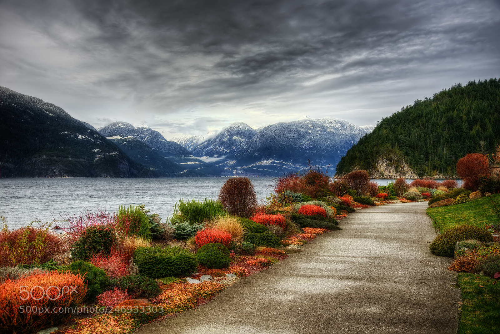 Nikon D800 sample photo. Vancouver howe sound photography
