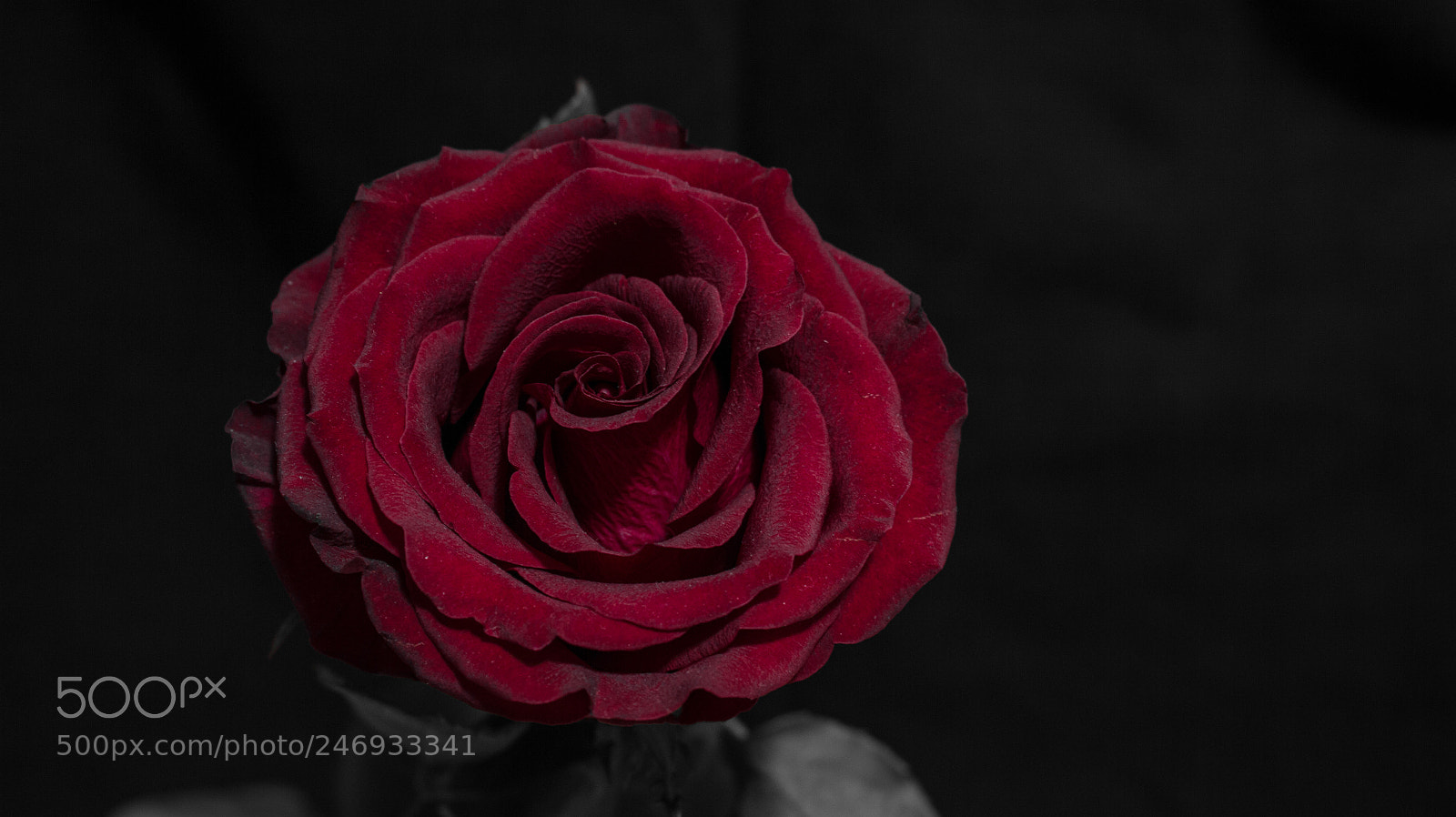 Canon EOS 700D (EOS Rebel T5i / EOS Kiss X7i) sample photo. Img photography