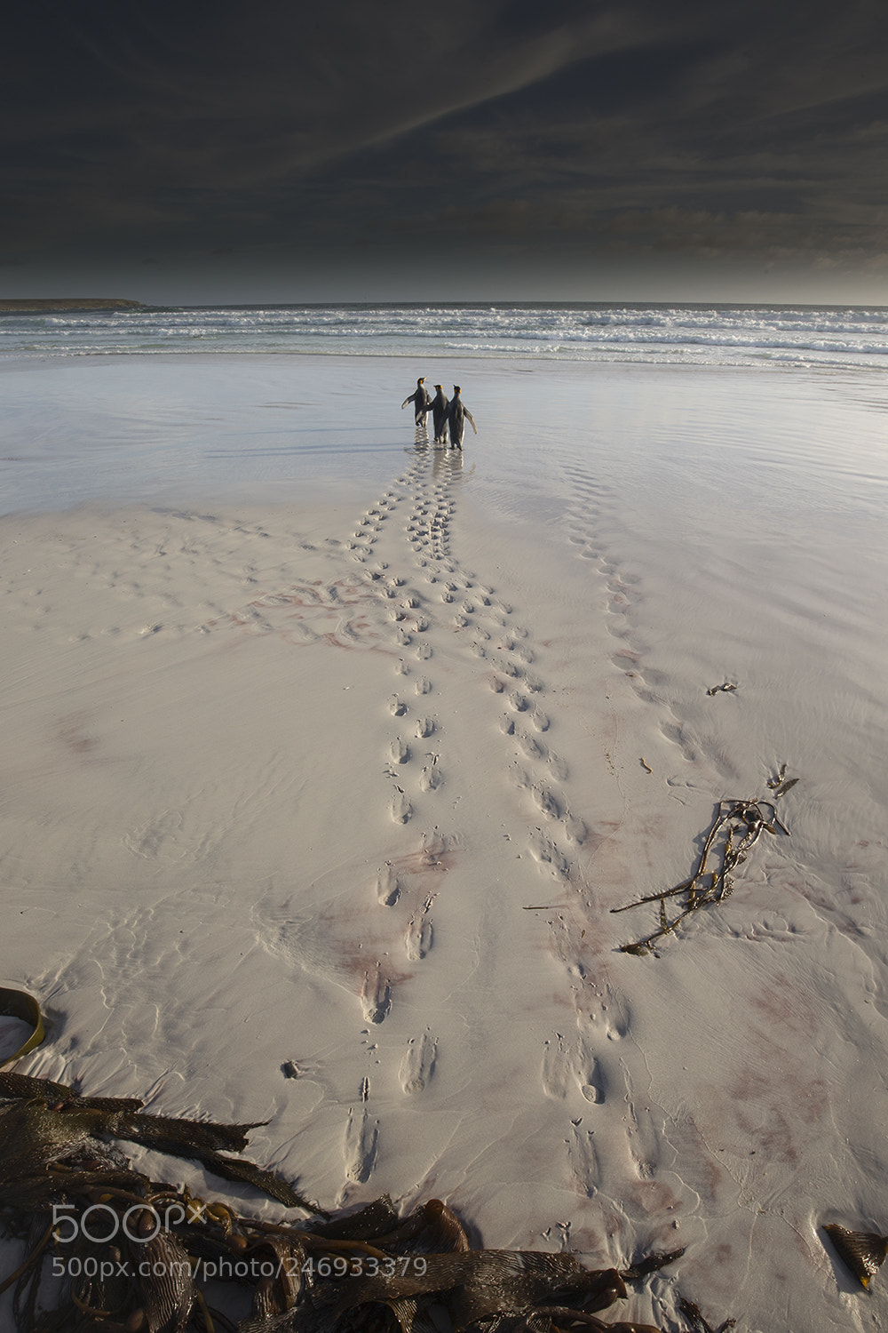 Canon EOS-1D X sample photo. The tracks photography