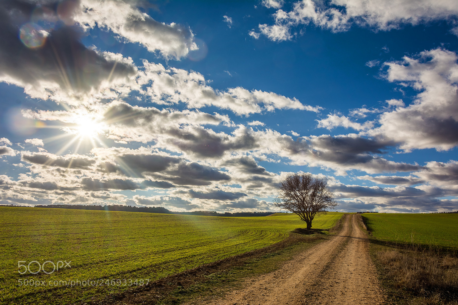 Nikon D7100 sample photo. Camino campestre photography