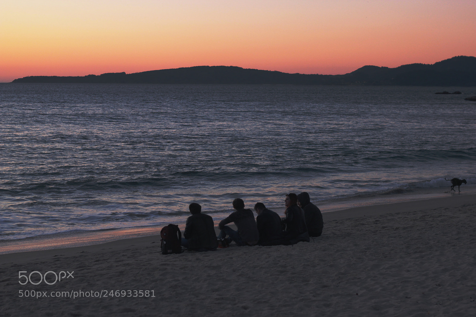Canon EOS 500D (EOS Rebel T1i / EOS Kiss X3) sample photo. Amistad en la playa photography