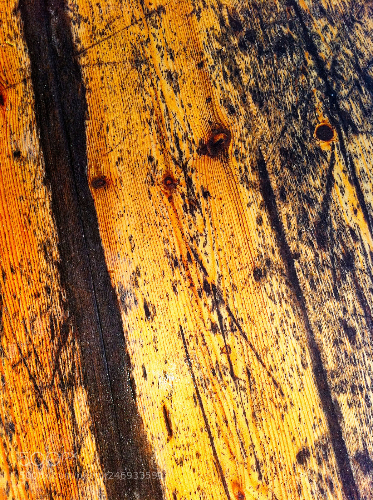 Apple iPhone 4 sample photo. Just a piece of photography