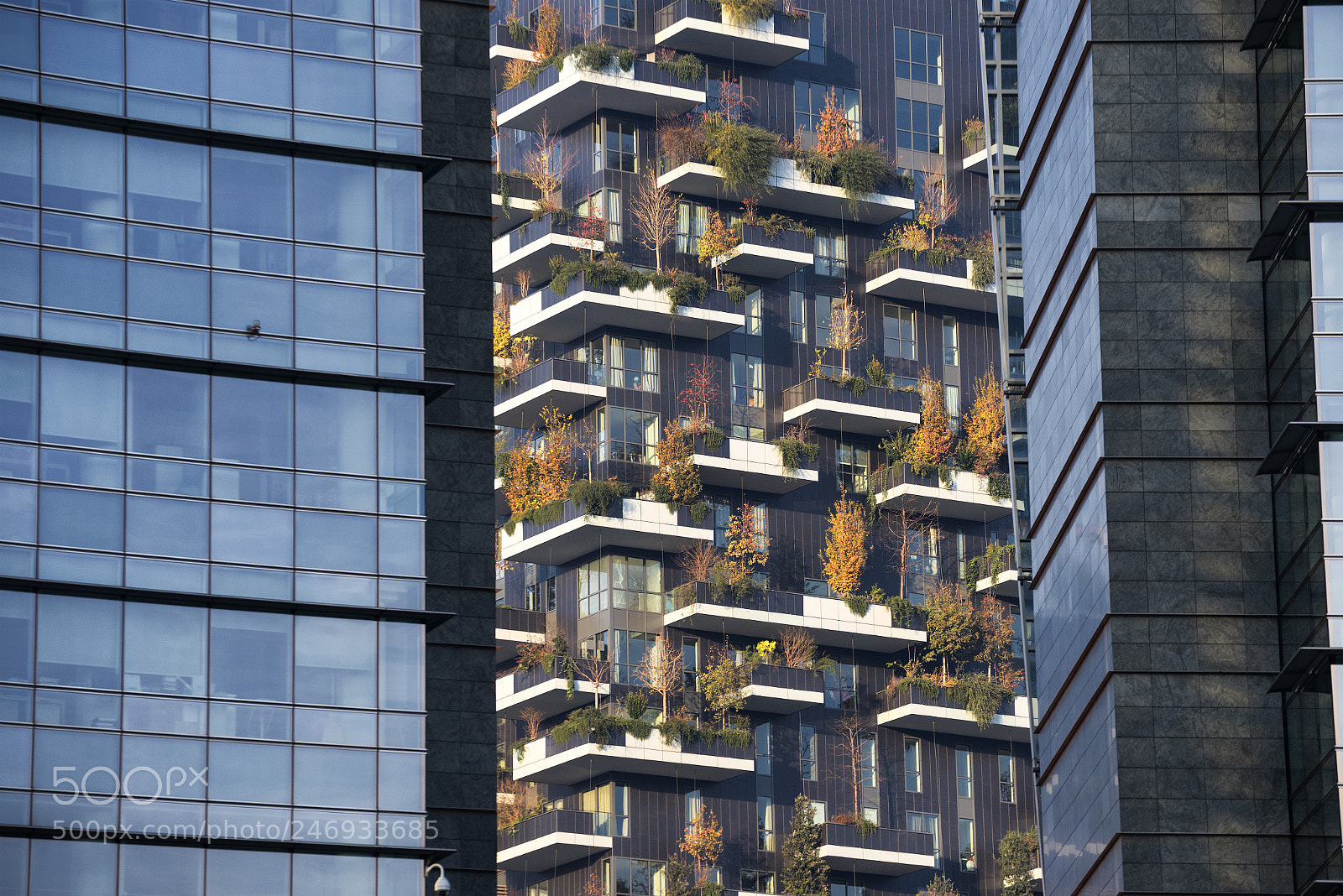 Nikon D810 sample photo. Milan italy modern building photography