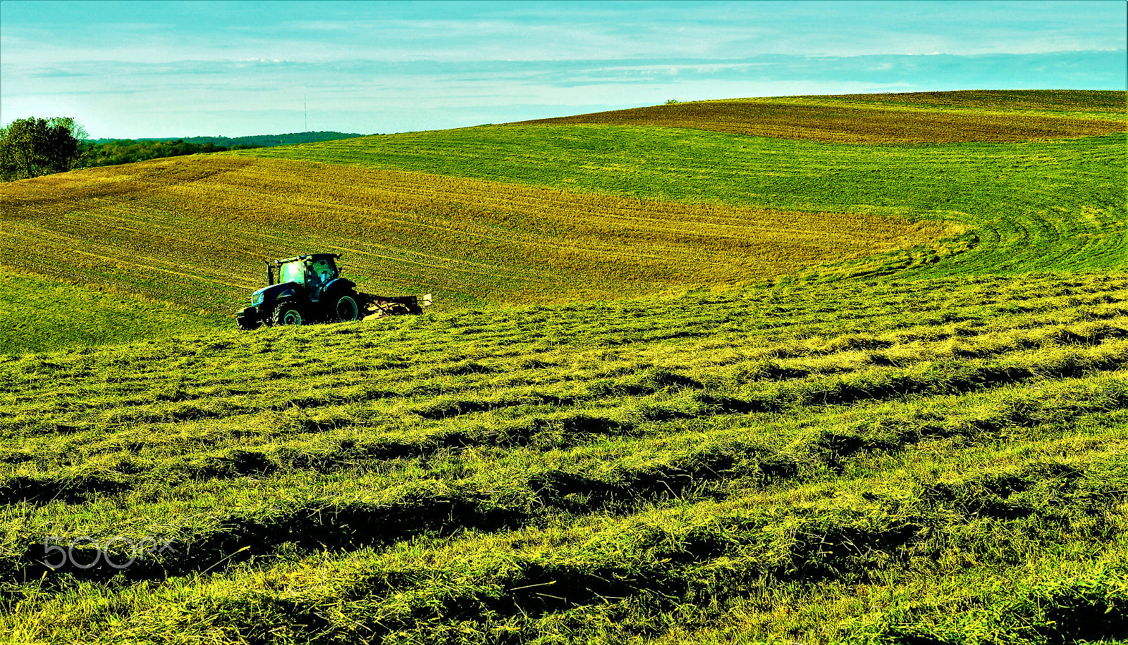 Nikon D610 sample photo. Harvest photography