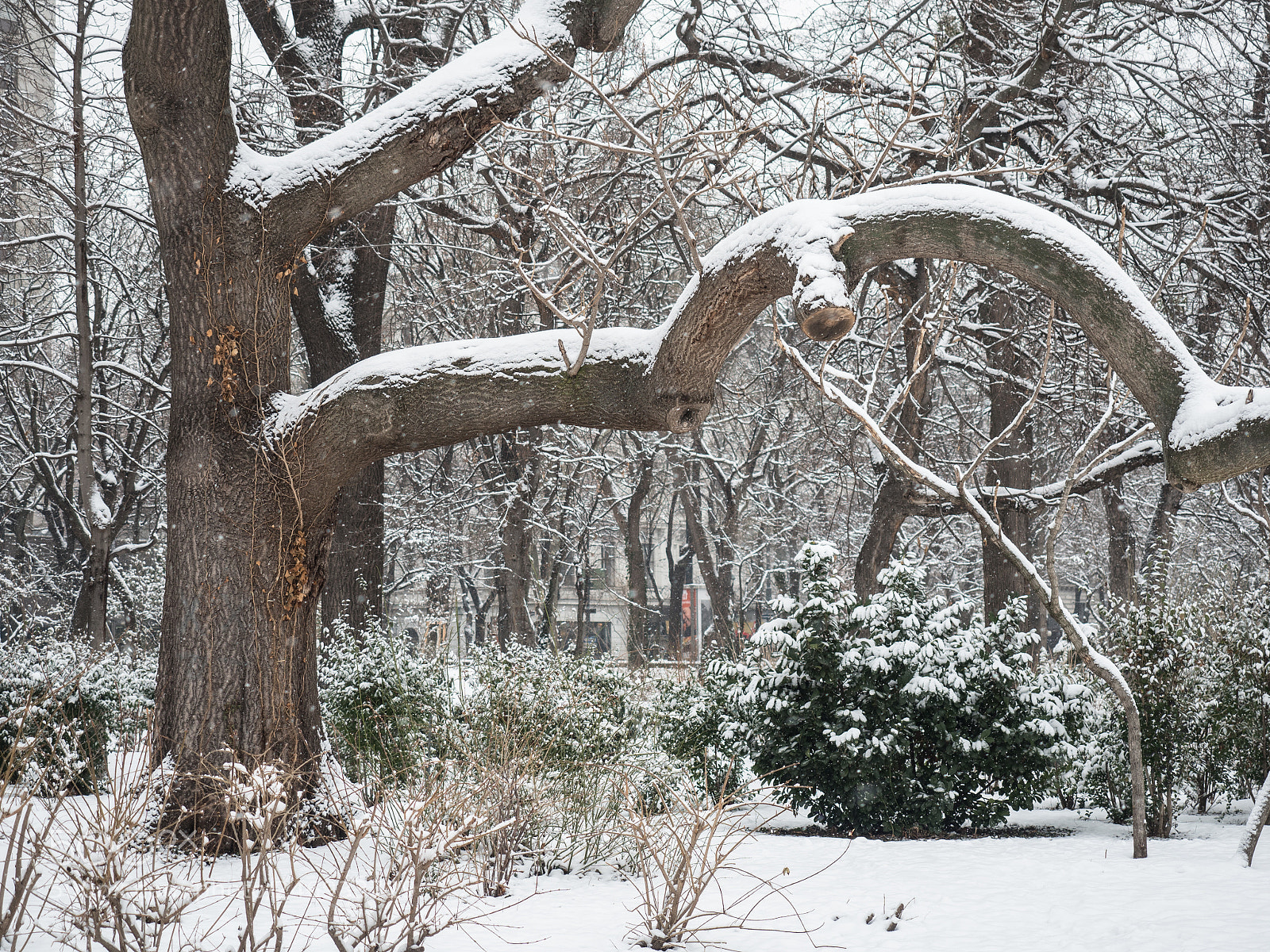 Olympus OM-D E-M5 II sample photo. Winter curve photography