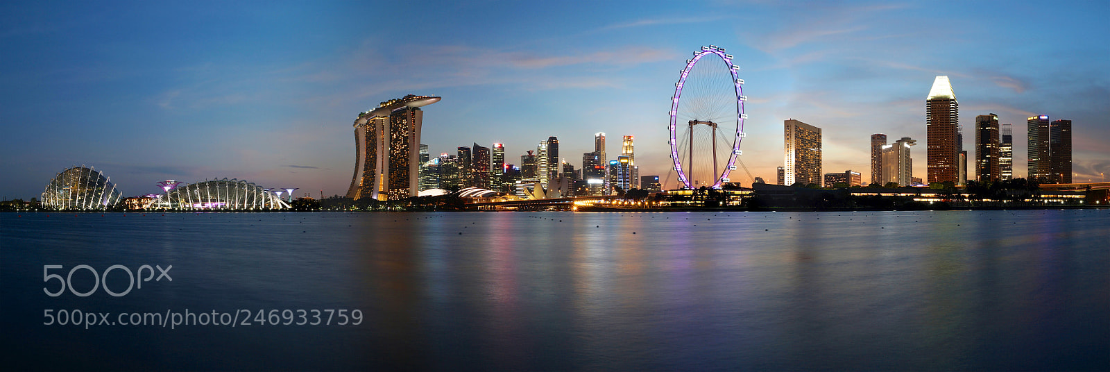 Sony SLT-A58 sample photo. Gardens by the bay photography