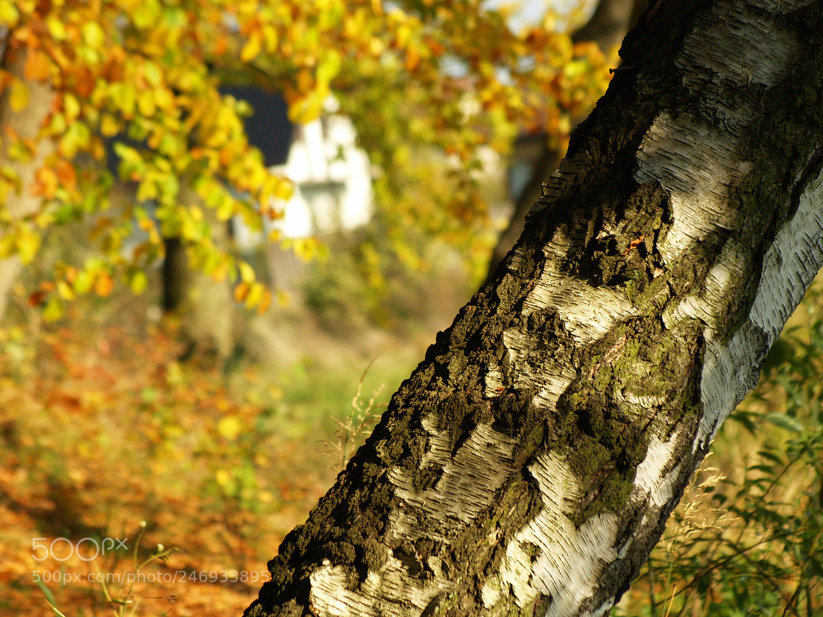 Olympus E-500 (EVOLT E-500) sample photo. . photography