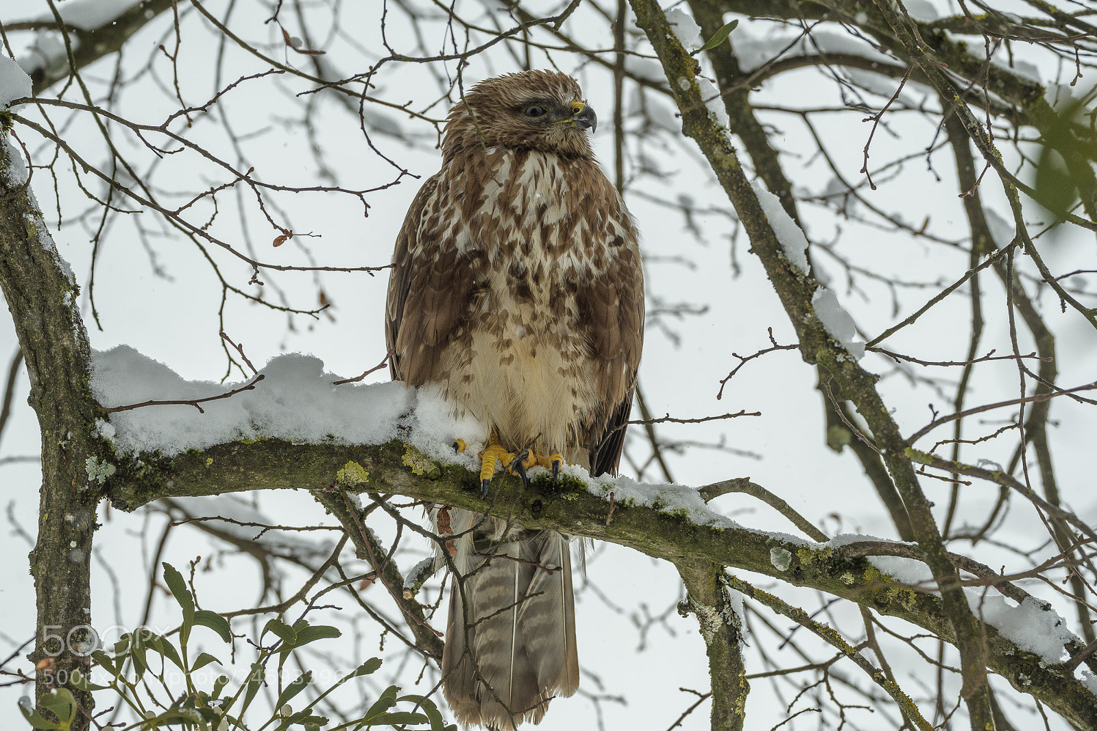 Nikon D500 sample photo. Einmal gl ck gehabt photography