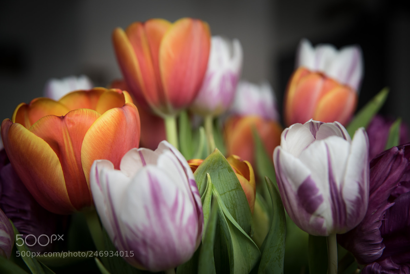Nikon D810 sample photo. Untitled photography